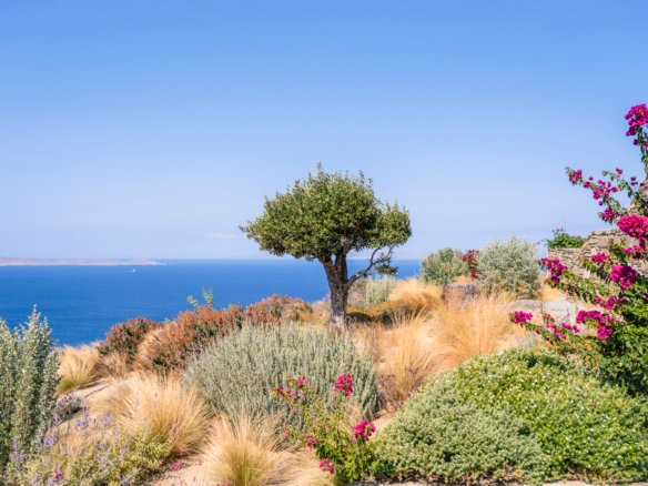 Garden with sea view at Villa Faros in Tourlos Mykonos